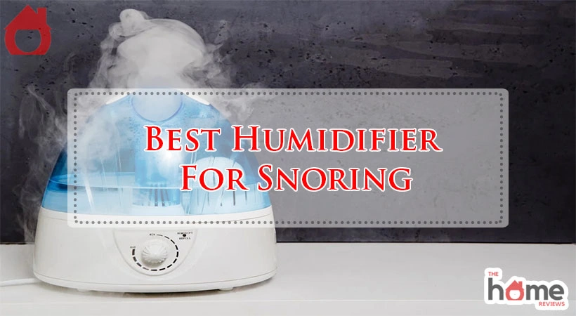 Best Humidifier For Snoring