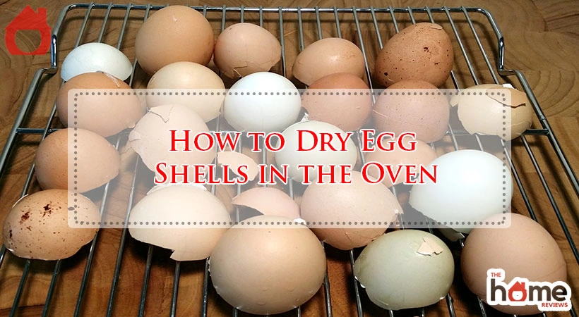 How to Dry Egg Shells in the Oven