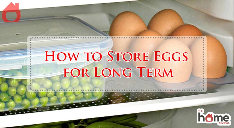 How to Store Eggs for Long Term