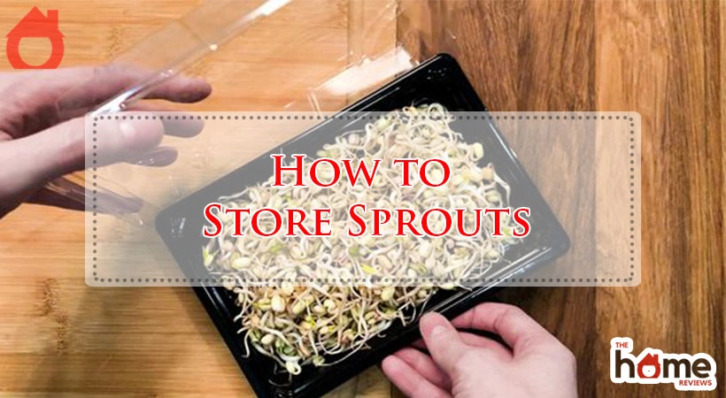 How to Store Sprouts