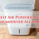 Best Air Purifier And Dehumidifier All In One