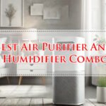 Best Air Purifier And Humidifier Combo
