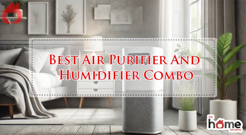Best Air Purifier And Humidifier Combo