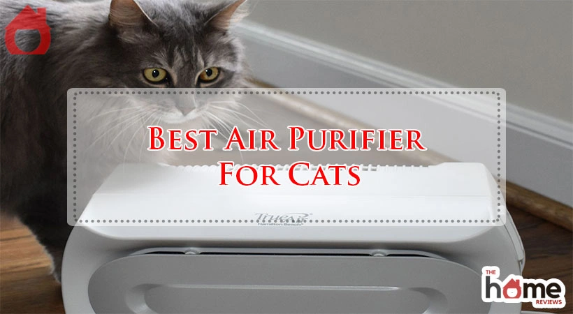 Best Air Purifier For Cats