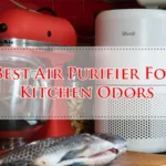 Best Air Purifier For Kitchen Odors