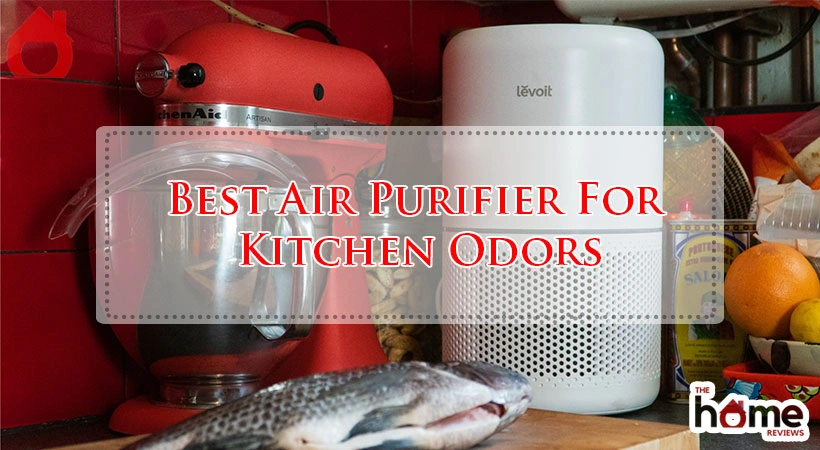 Best Air Purifier For Kitchen Odors
