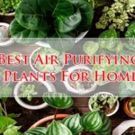Best Furnace Humidifier