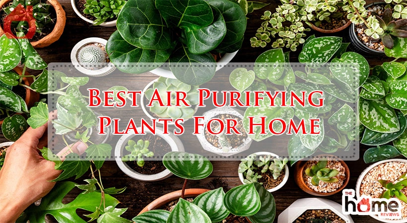 Best Furnace Humidifier