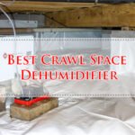 Best Crawl Space Dehumidifier