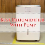 Best Dehumidifier With Pump
