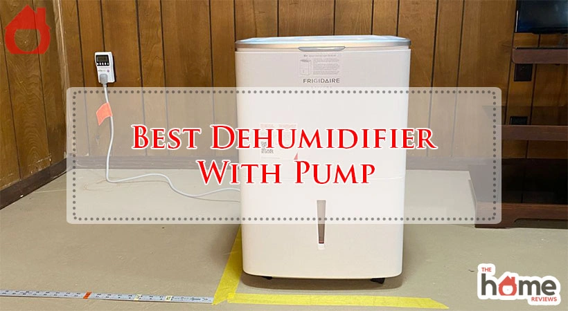 Best Dehumidifier With Pump