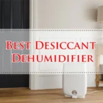 Best Desiccant Dehumidifier