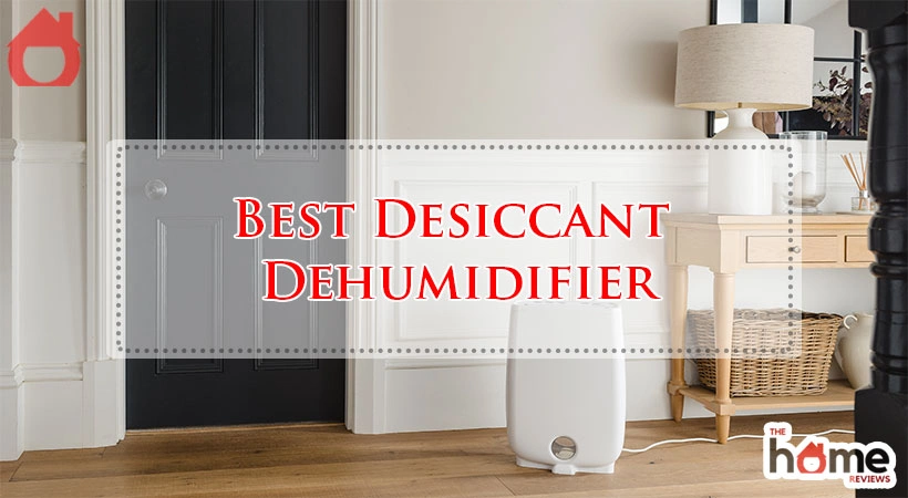 Best Desiccant Dehumidifier