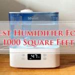 Best Humidifier For 1000 Square Feet
