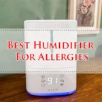 Best Humidifier For Allergies
