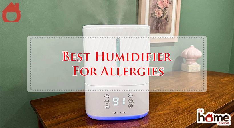 Best Humidifier For Allergies