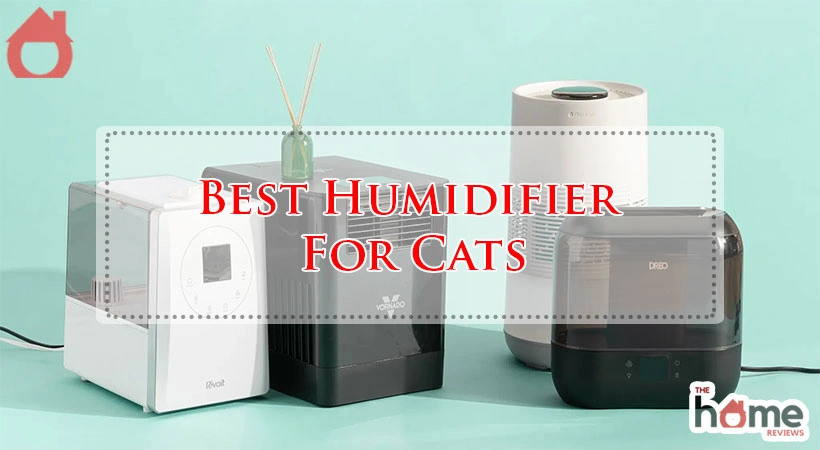 Best Humidifier For Cats