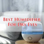 Best Humidifier For Dry Eyes