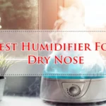 Best Humidifier For Dry Nose