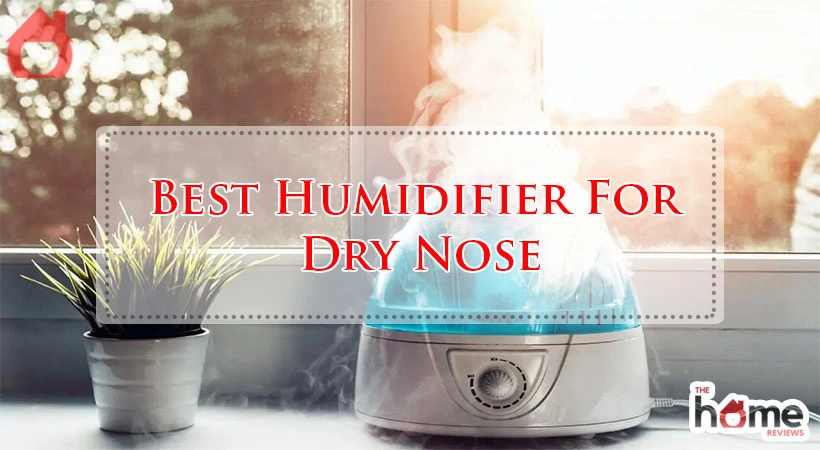 Best Humidifier For Dry Nose
