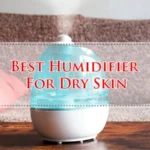Best Humidifier For Dry Skin