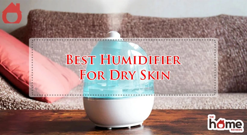 Best Humidifier For Dry Skin
