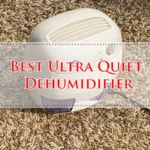 Best Ultra Quiet Dehumidifier