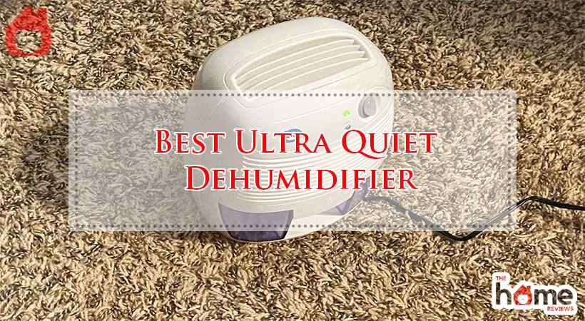 Best Ultra Quiet Dehumidifier