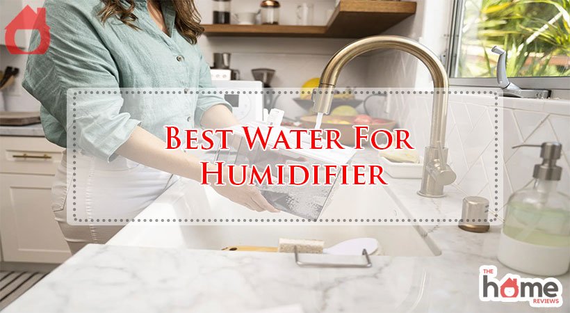 Best Water For Humidifier
