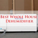 Best Whole House Dehumidifier