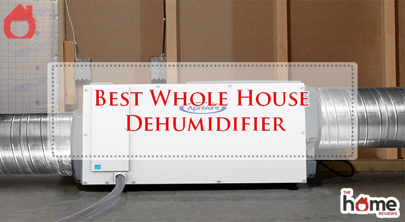 Best Whole House Dehumidifier