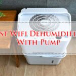 Best Wifi Dehumidifier With Pump