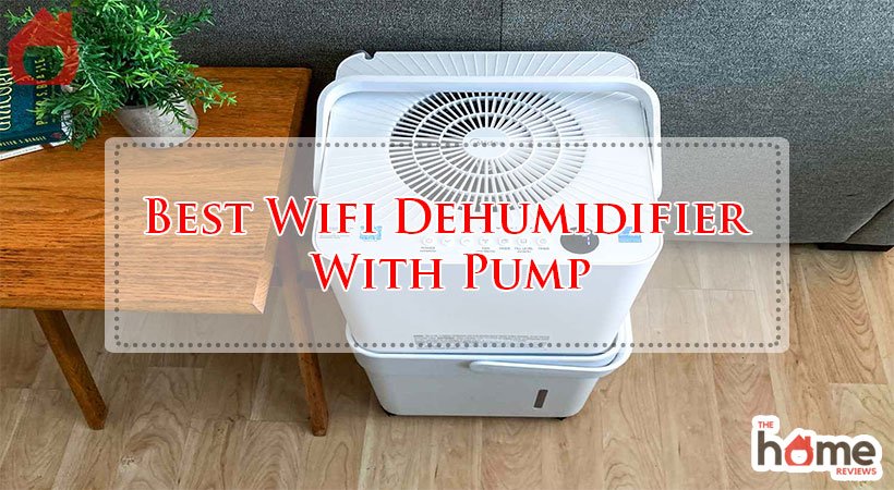 Best Wifi Dehumidifier With Pump