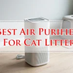 Best Air Purifier For Cat Litter