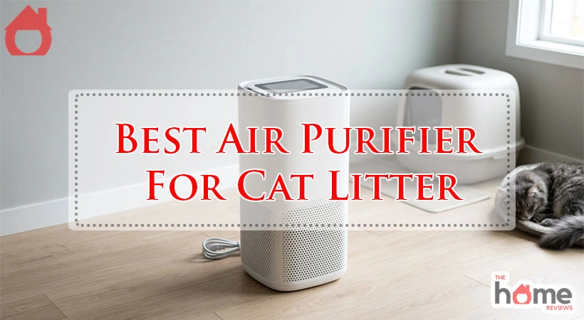 Best Air Purifier For Cat Litter