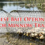 Best Bait Options For Minnow Traps