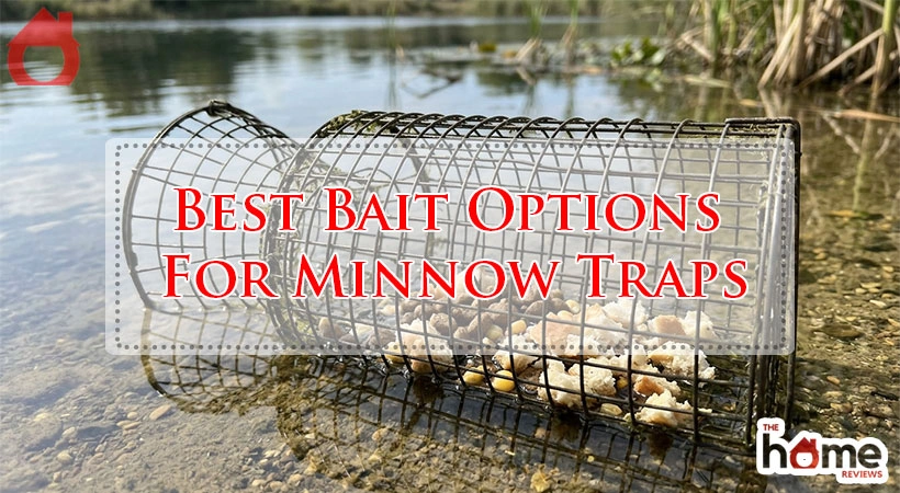 Best Bait Options For Minnow Traps