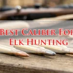 Best Caliber For Elk Hunting