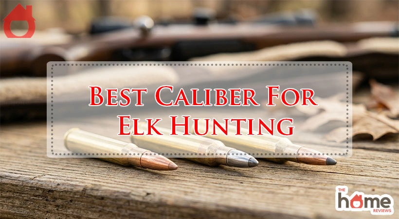 Best Caliber For Elk Hunting