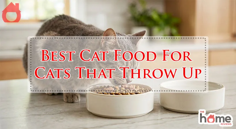 Best Cat Food For Cats That Throw Up