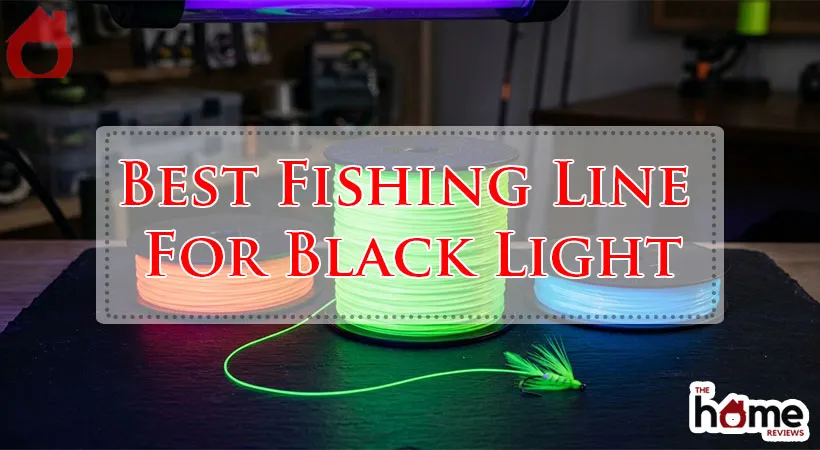 Best Fishing Line For Black Light