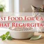 Best Food For Cats That Regurgitate