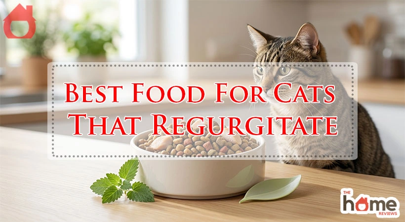 Best Food For Cats That Regurgitate
