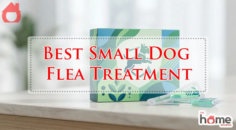 Best Small Dog Flea Treatment