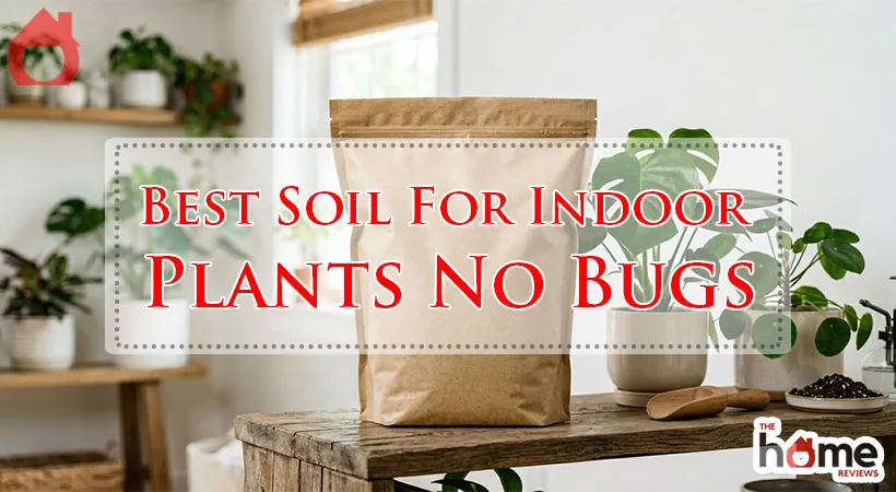 Best Soil For Indoor Plants No Bugs