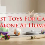 Best Toys For Cats Alone At Home