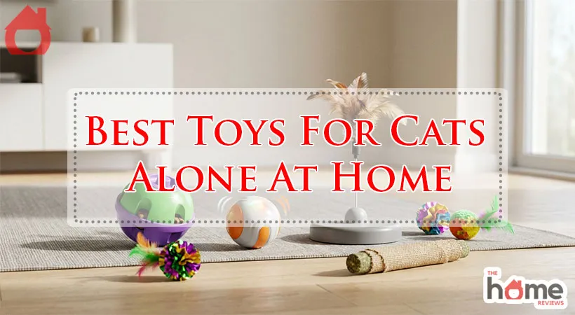 Best Toys For Cats Alone At Home