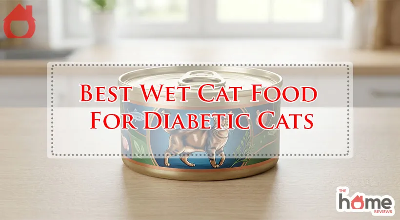 Best Wet Cat Food For Diabetic Cats