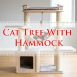 Cat Tree With Hammock