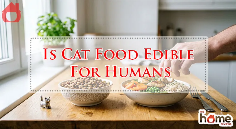 Is Cat Food Edible For Humans